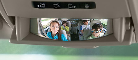 Observation Mirror