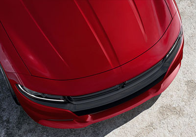 DOUBLE POWER BULGE HOOD